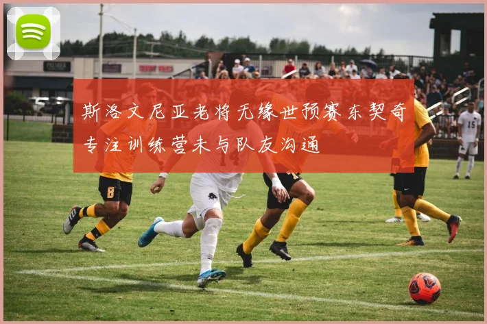 斯洛文尼亚老将无缘世预赛东契奇专注训练营未与队友沟通