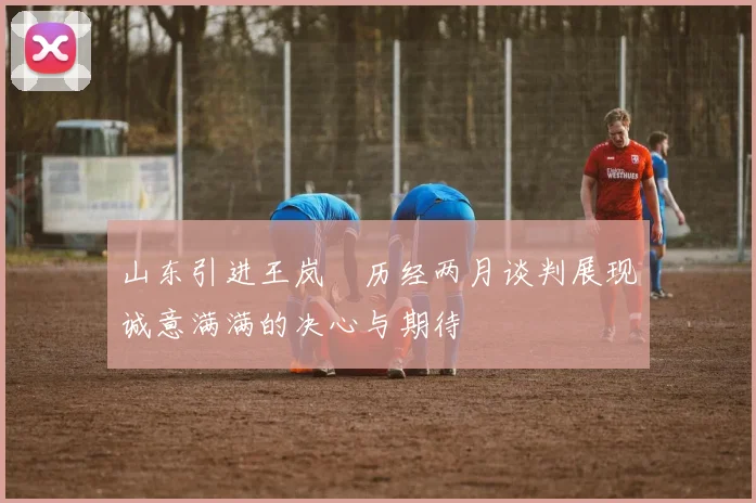 山东引进王岚嵚历经两月谈判展现诚意满满的决心与期待